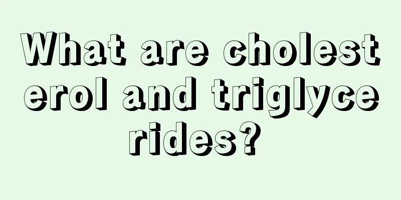 What are cholesterol and triglycerides? 