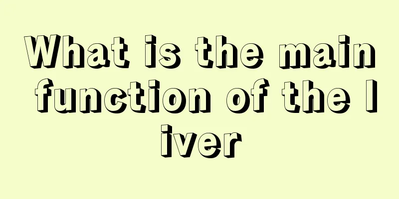 What is the main function of the liver