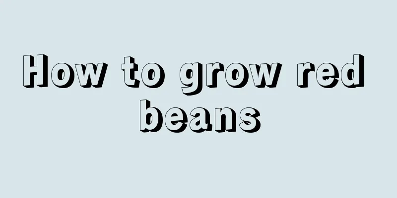 How to grow red beans
