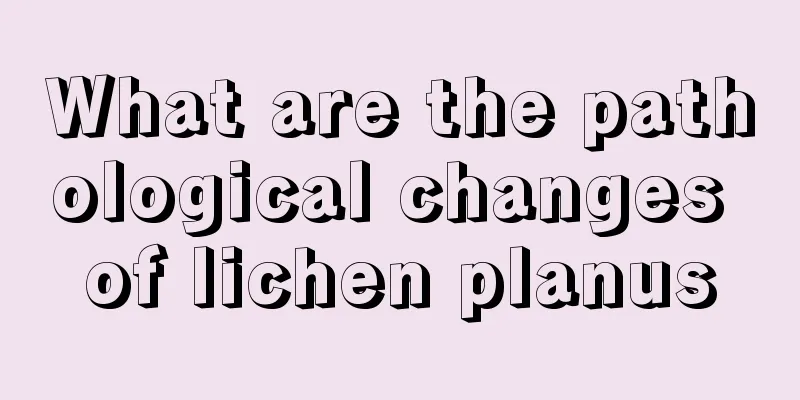 What are the pathological changes of lichen planus