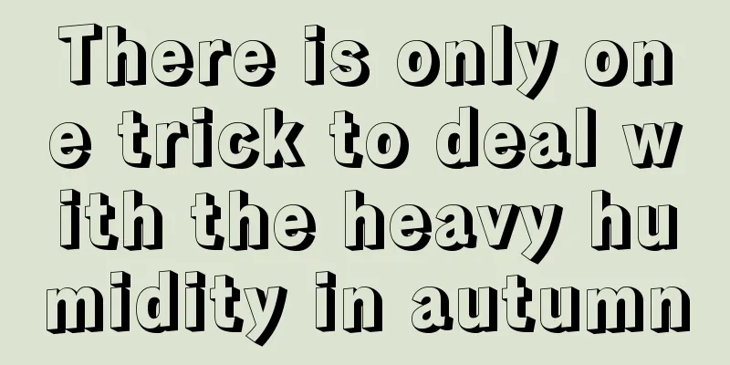 There is only one trick to deal with the heavy humidity in autumn
