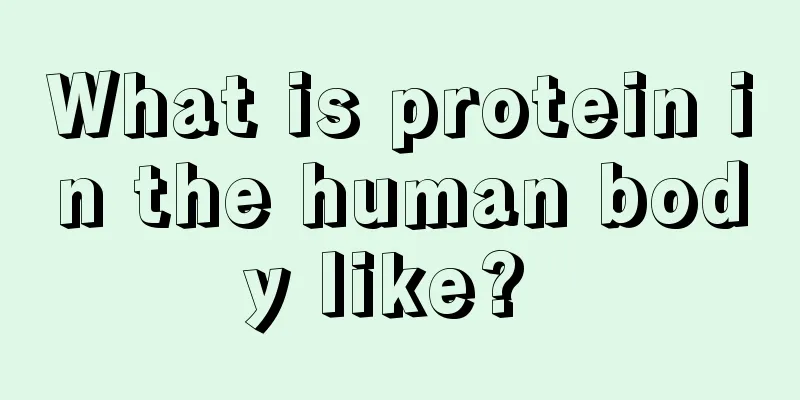 What is protein in the human body like? 