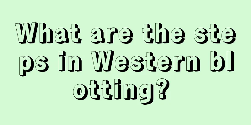 What are the steps in Western blotting? 