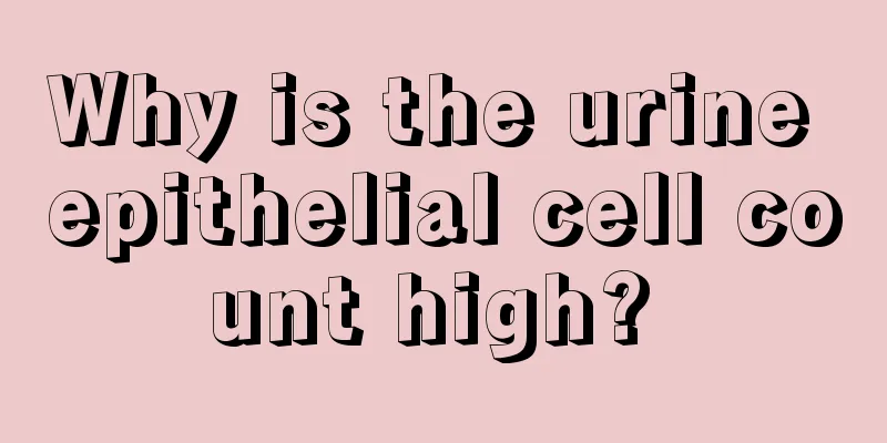 Why is the urine epithelial cell count high? 
