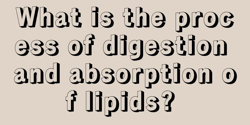 What is the process of digestion and absorption of lipids? 