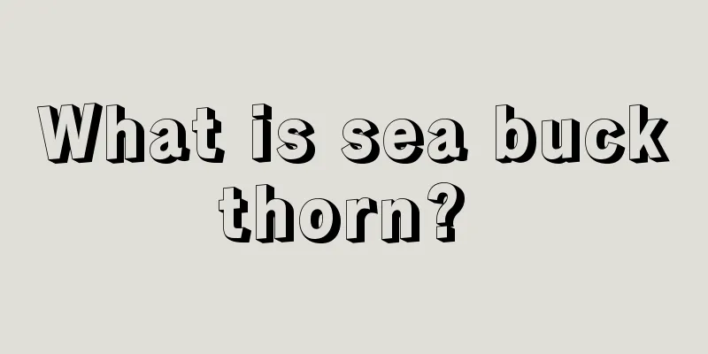 What is sea buckthorn? 