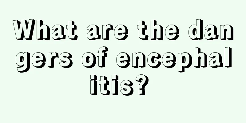 What are the dangers of encephalitis? 