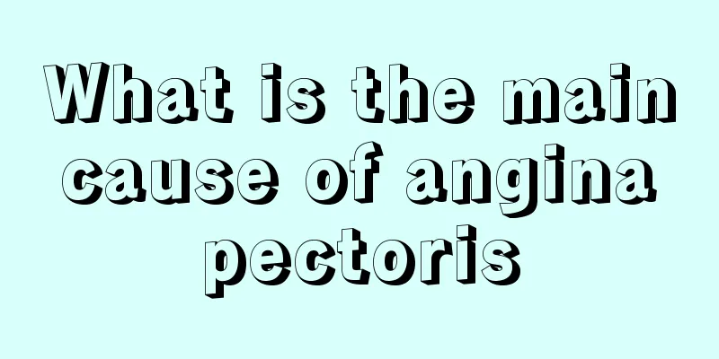 What is the main cause of angina pectoris