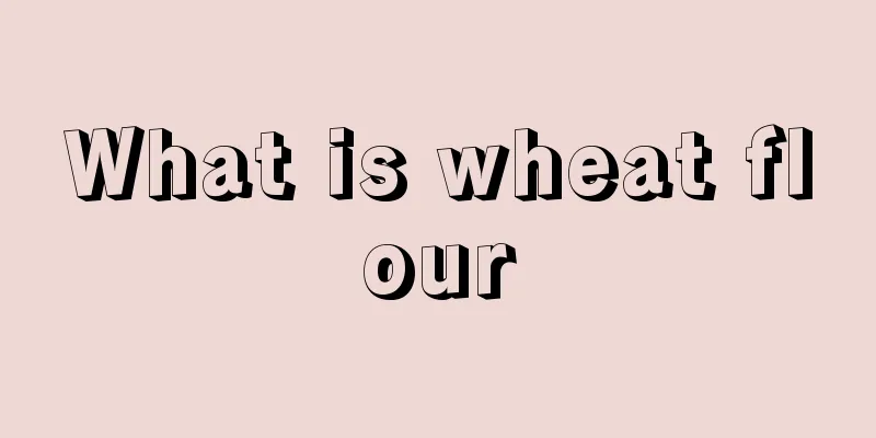 What is wheat flour