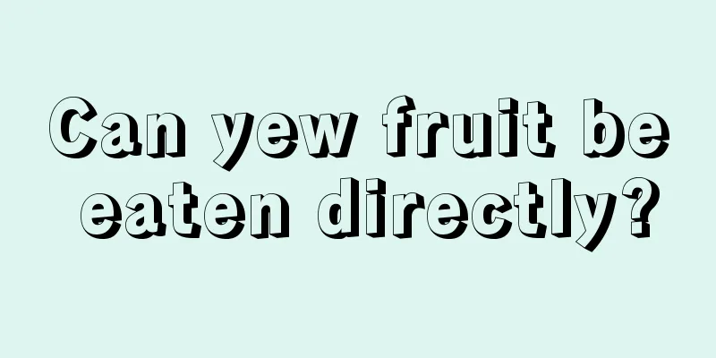 Can yew fruit be eaten directly?