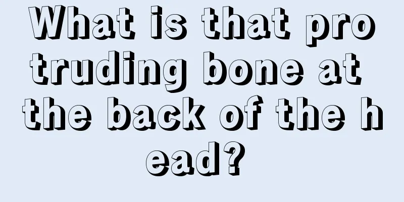 What is that protruding bone at the back of the head? 