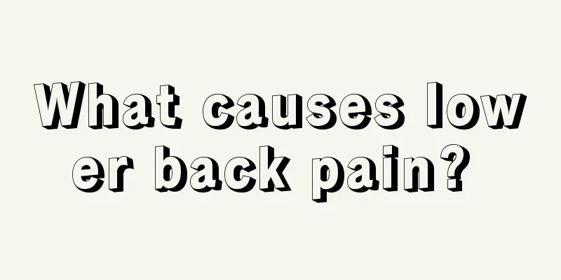 What causes lower back pain? 