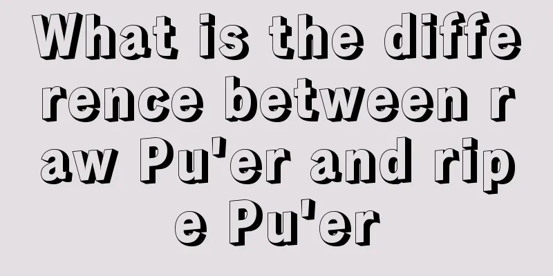 What is the difference between raw Pu'er and ripe Pu'er