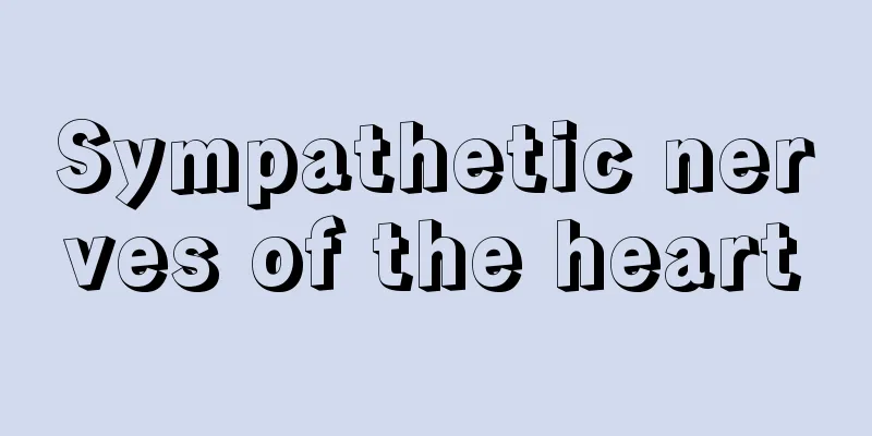 Sympathetic nerves of the heart