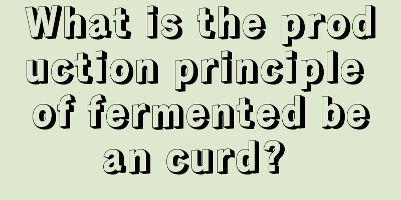 What is the production principle of fermented bean curd? 