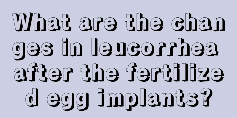 What are the changes in leucorrhea after the fertilized egg implants?
