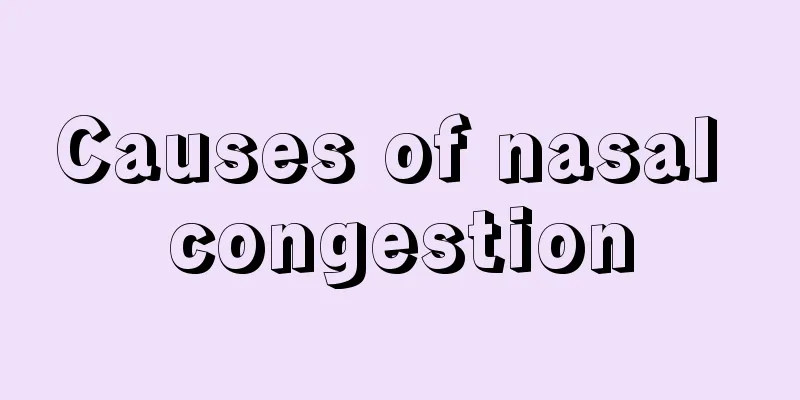 Causes of nasal congestion