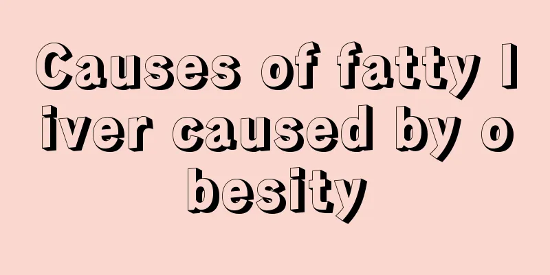 Causes of fatty liver caused by obesity
