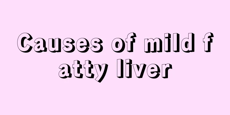 Causes of mild fatty liver