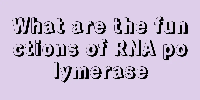 What are the functions of RNA polymerase
