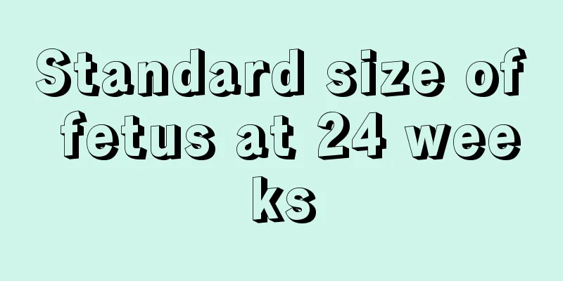 Standard size of fetus at 24 weeks