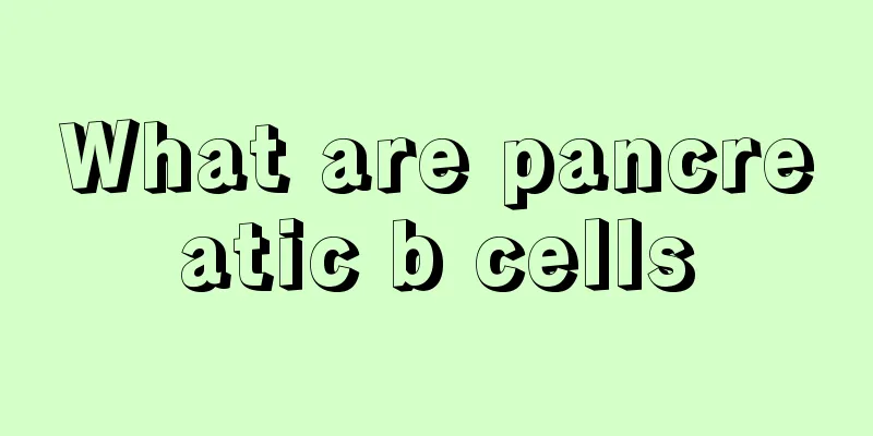 What are pancreatic b cells