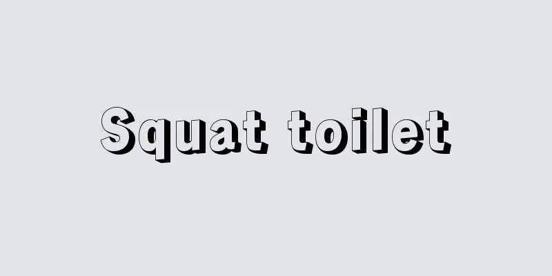 Squat toilet