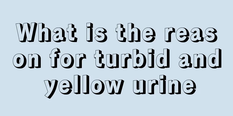 What is the reason for turbid and yellow urine