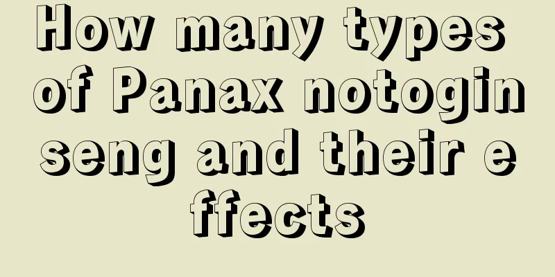 How many types of Panax notoginseng and their effects