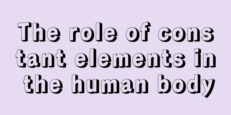 The role of constant elements in the human body