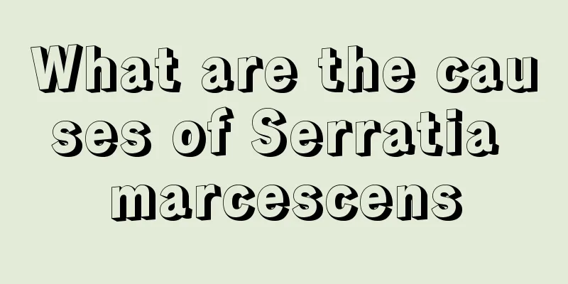 What are the causes of Serratia marcescens