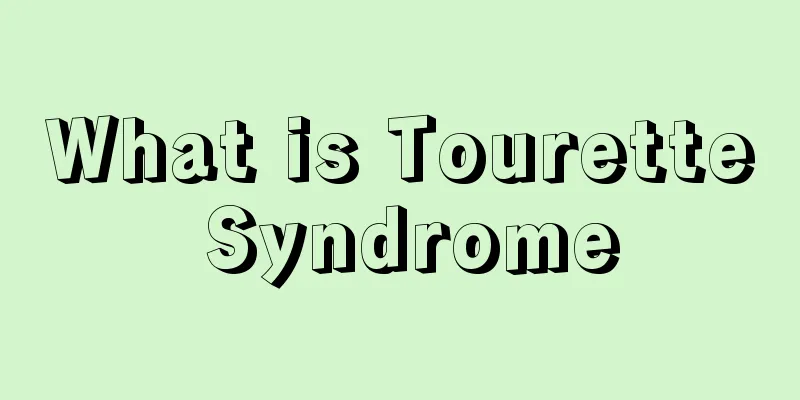What is Tourette Syndrome