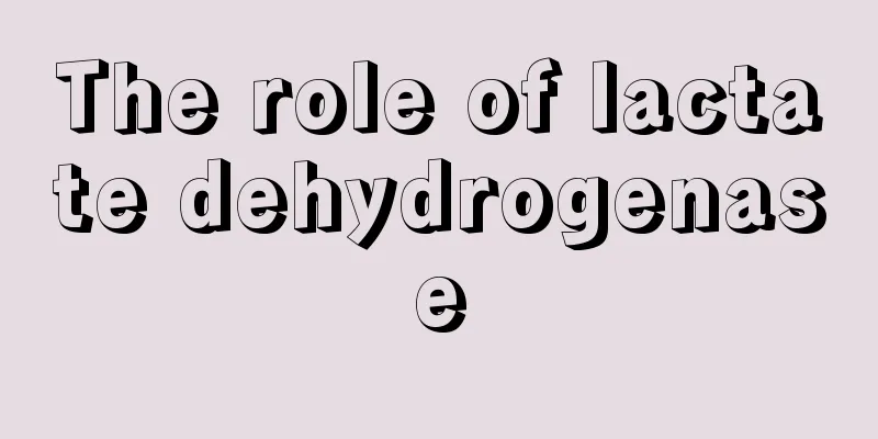 The role of lactate dehydrogenase