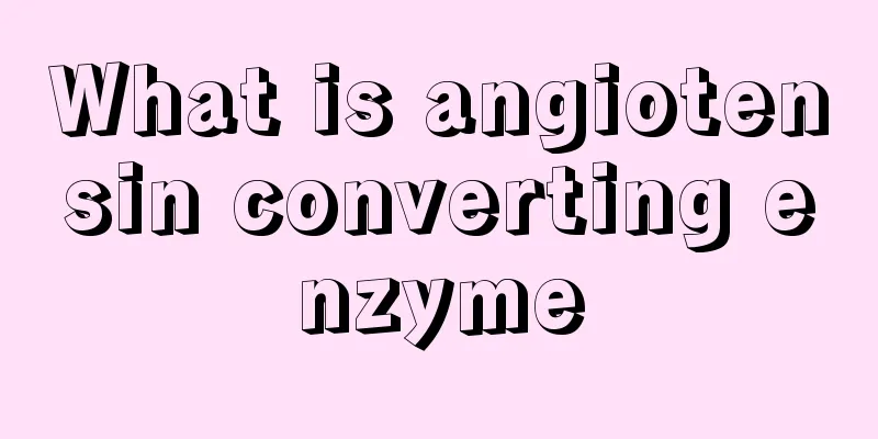 What is angiotensin converting enzyme