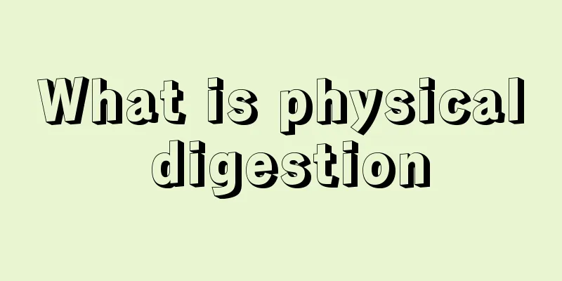 What is physical digestion
