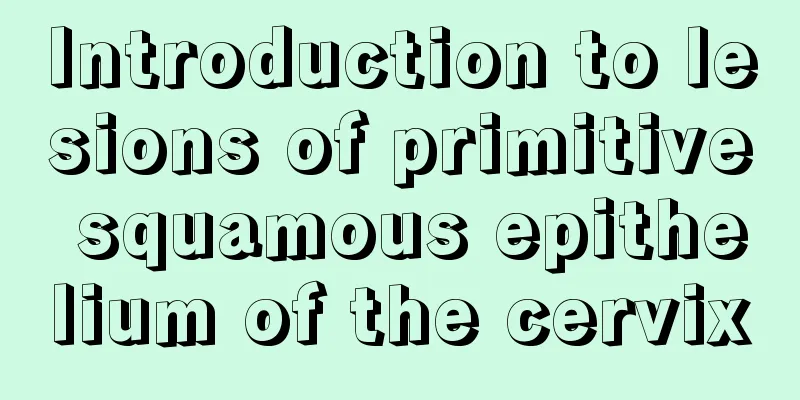 Introduction to lesions of primitive squamous epithelium of the cervix