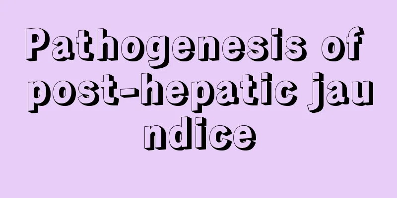 Pathogenesis of post-hepatic jaundice