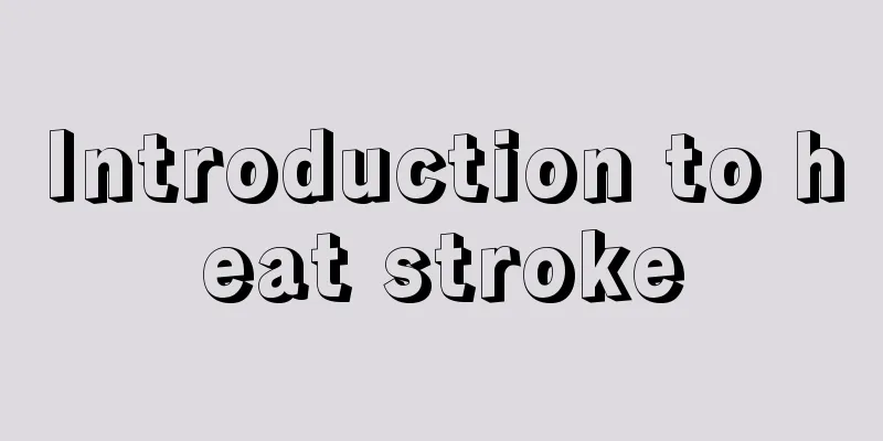 Introduction to heat stroke