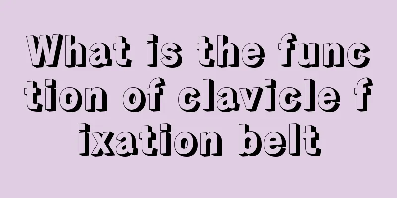What is the function of clavicle fixation belt
