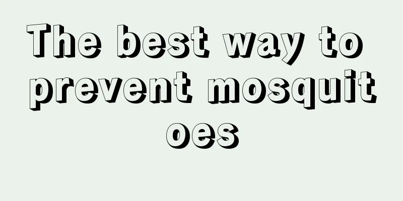 The best way to prevent mosquitoes