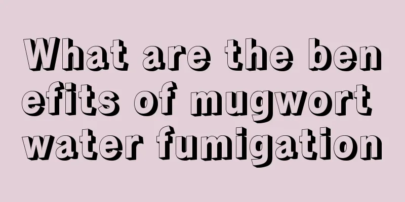 What are the benefits of mugwort water fumigation