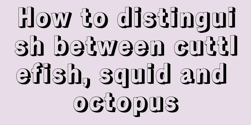 How to distinguish between cuttlefish, squid and octopus