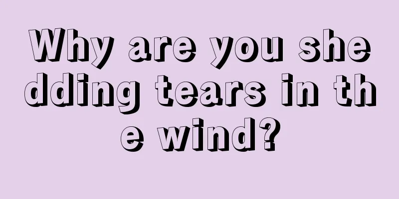 Why are you shedding tears in the wind?