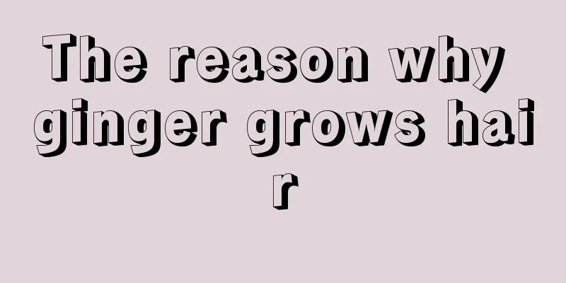 The reason why ginger grows hair
