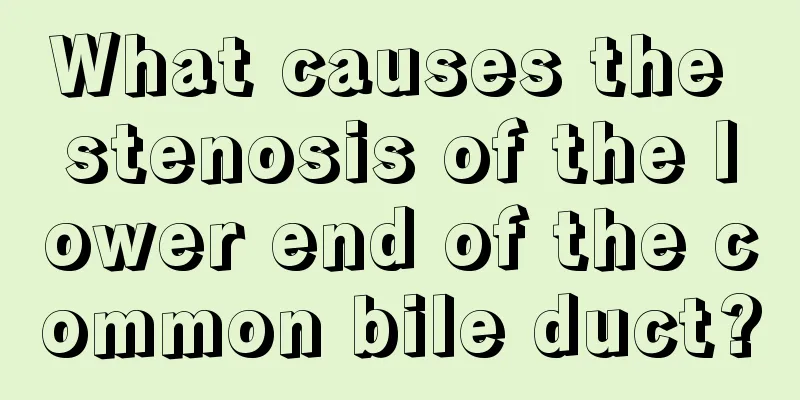 What causes the stenosis of the lower end of the common bile duct?