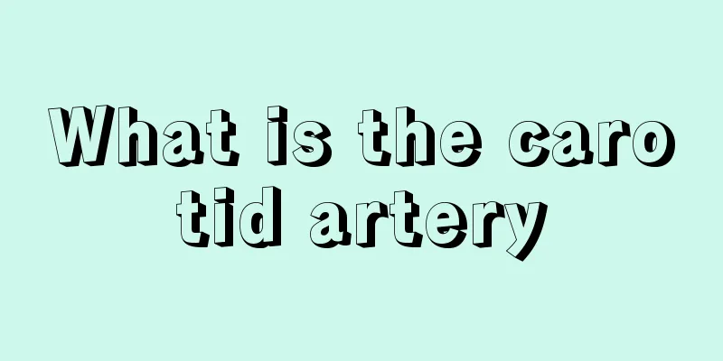 What is the carotid artery