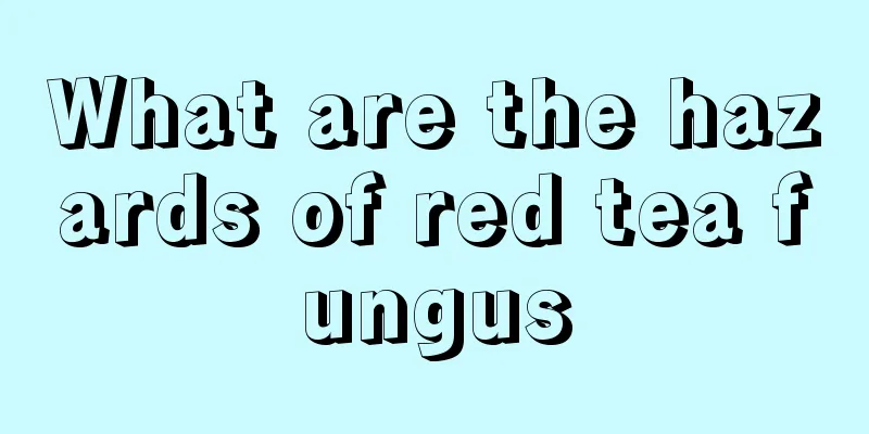 What are the hazards of red tea fungus