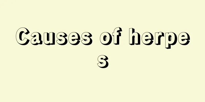 Causes of herpes