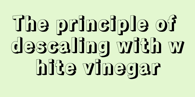The principle of descaling with white vinegar