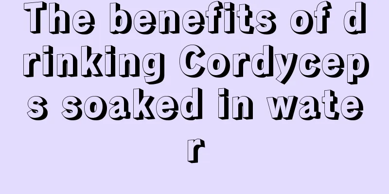 The benefits of drinking Cordyceps soaked in water